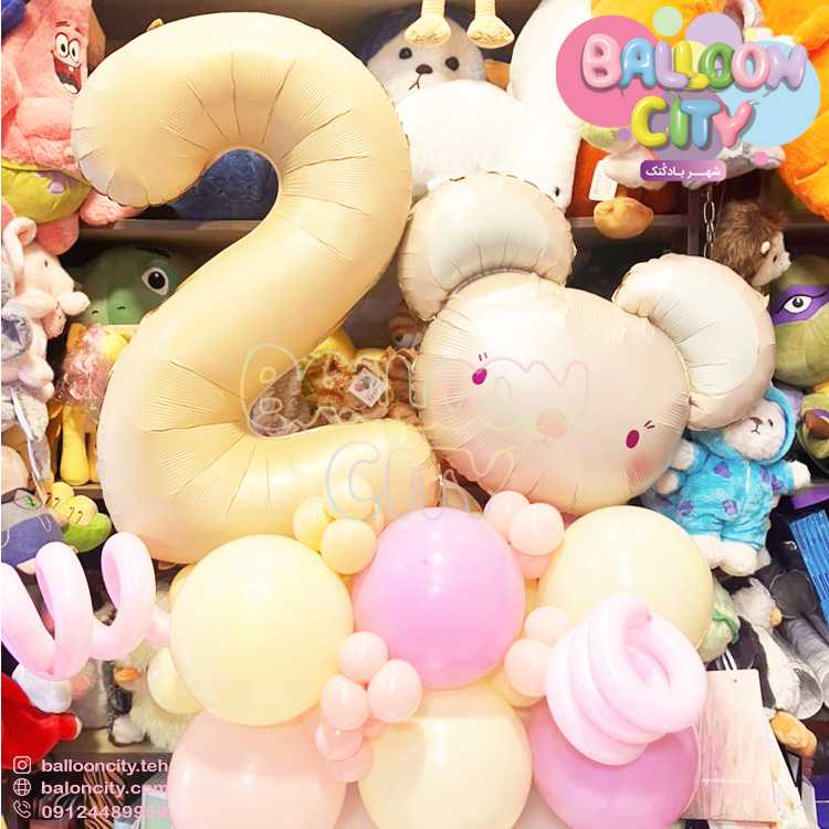 بوکت دخترانه طرح موش فانتزی Balloon Bouquet