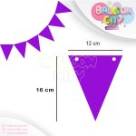 ریسه تم تولد مثلثی رنگ بنفش Purple