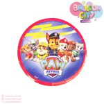 پیش دستی تم تولد سگ نگهبان پسر Paw Patrol بسته 10عددی